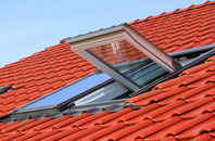 Chegworth roof window